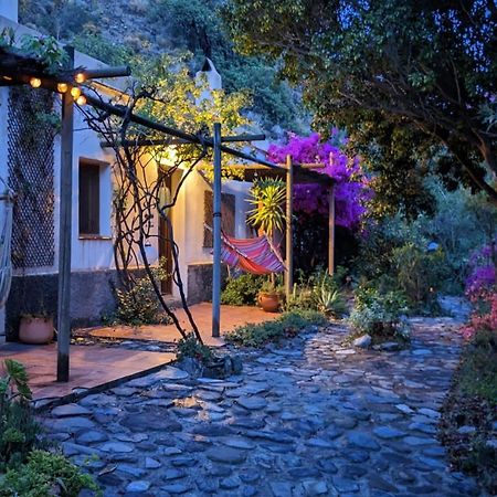 Cortijo Jamaica - Off Grid Paradise - Costa Tropical Los Diaz  Dış mekan fotoğraf
