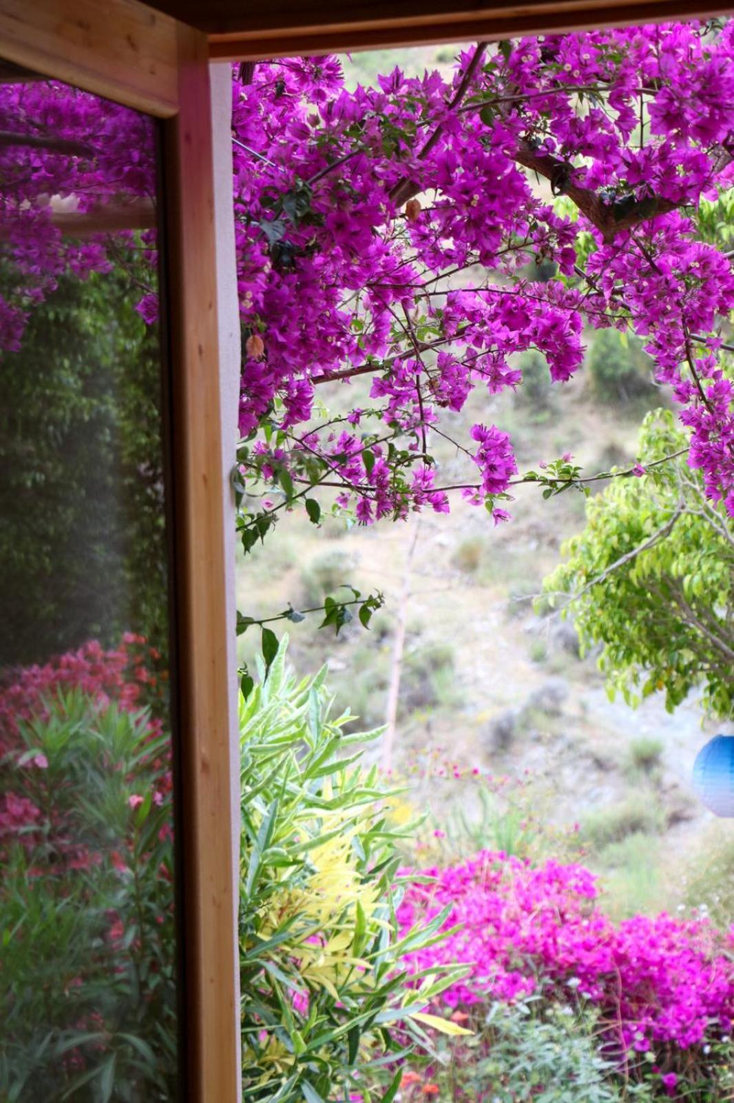 Cortijo Jamaica - Off Grid Paradise - Costa Tropical Los Diaz  Dış mekan fotoğraf
