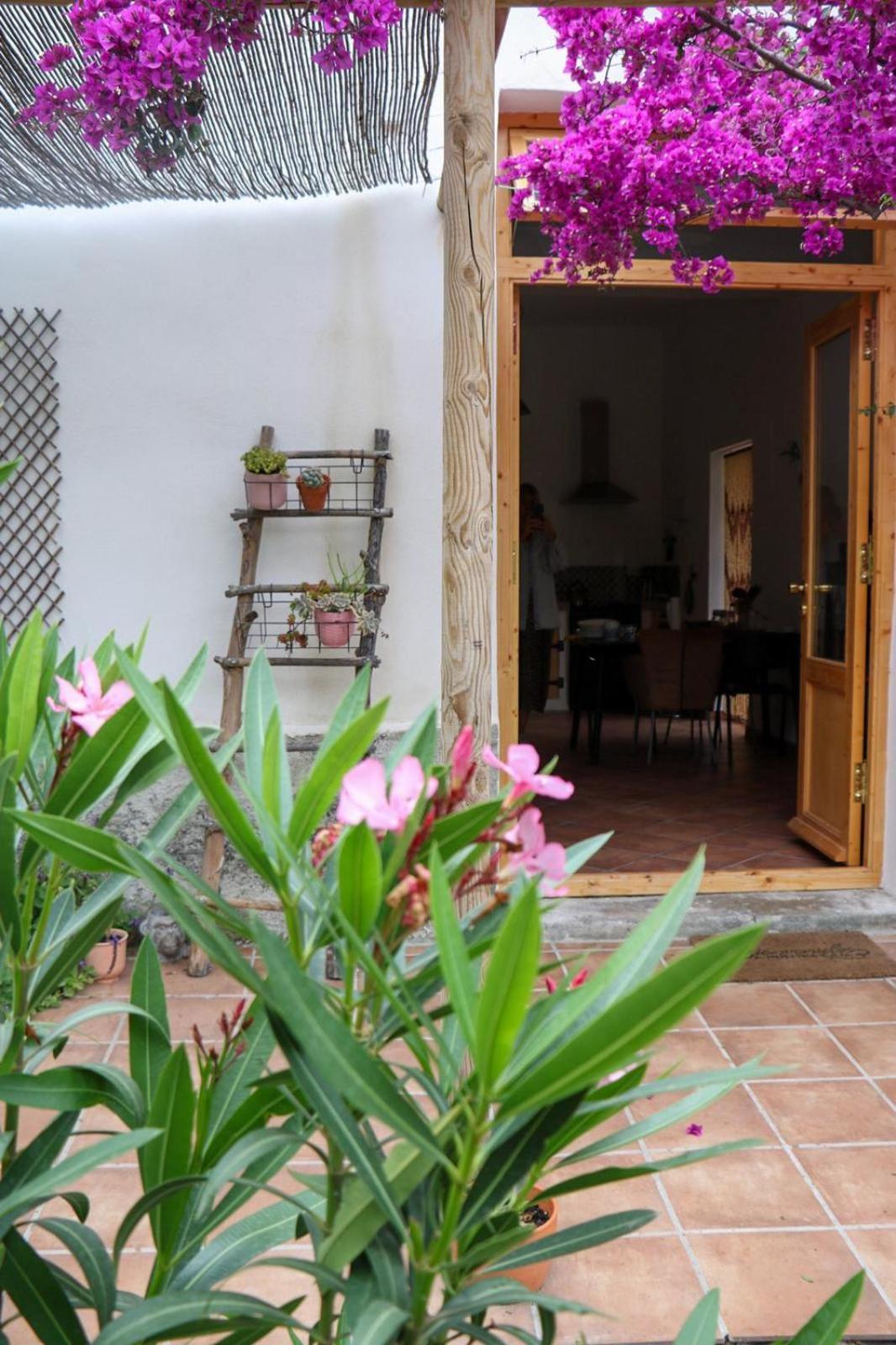 Cortijo Jamaica - Off Grid Paradise - Costa Tropical Los Diaz  Dış mekan fotoğraf